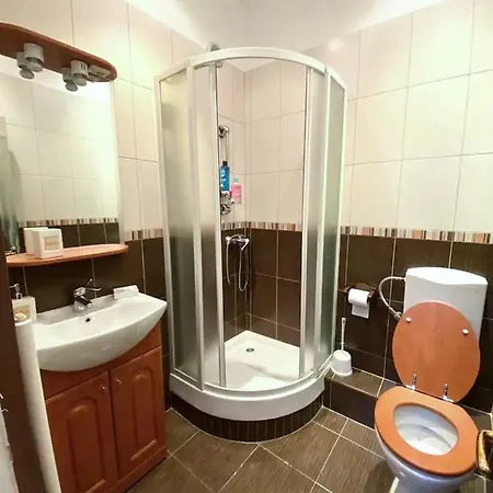Harmony Homes- Piata Unirii Central Apartament 公寓