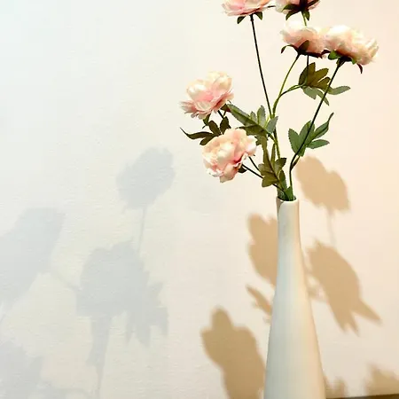 Harmony Homes- Piata Unirii Central Apartament Lejlighed