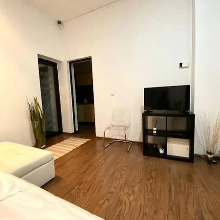 公寓 Harmony Homes- Piata Unirii Central Apartament *