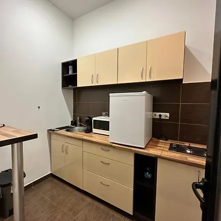 Harmony Homes- Piata Unirii Central Apartament 公寓 蒂米什瓦拉