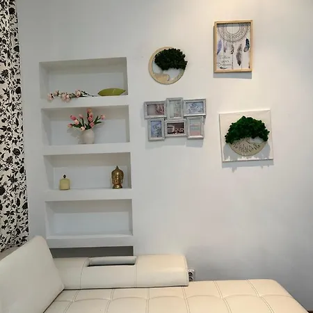 Harmony Homes- Piata Unirii Central Apartament 蒂米什瓦拉