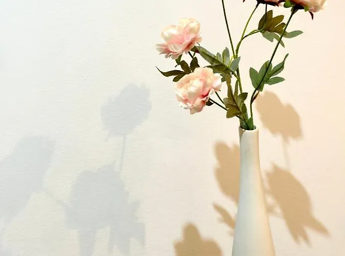 Harmony Homes- Piata Unirii Central Apartament דירה