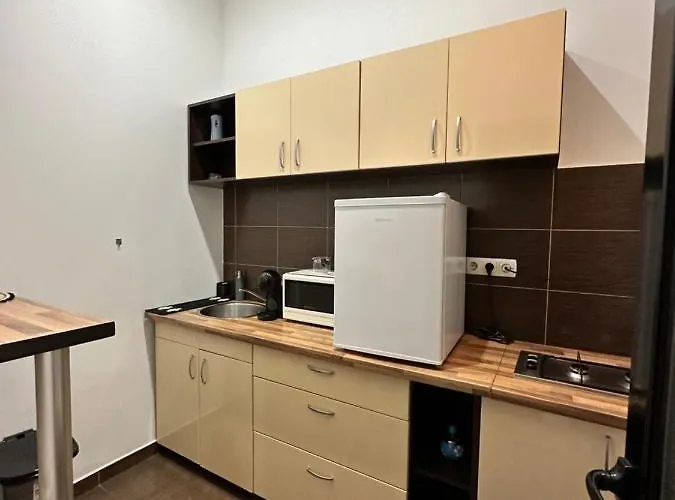 Harmony Homes- Piata Unirii Central Apartament דירה טימישוארה